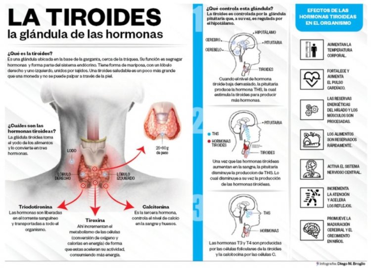 En 2022, se recibieron más de 18 mil consultas por problemas de tiroides