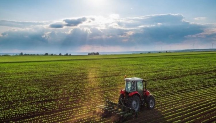 Habrá retención cero para productos de economías regionales con valor agregado industrial