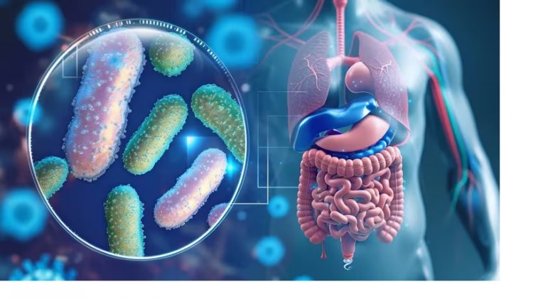 ¿Toda enfermedad empieza en el intestino? El estudio de científicos argentinos que confirma los alcances del “segundo cerebro”