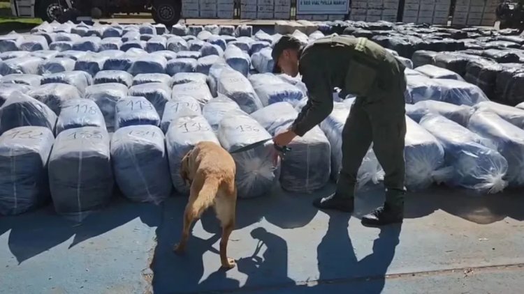 Salta otra vez en la mira: incautan 7 mil kilos de hojas de coca que salieron de Orán rumbo a Buenos Aires